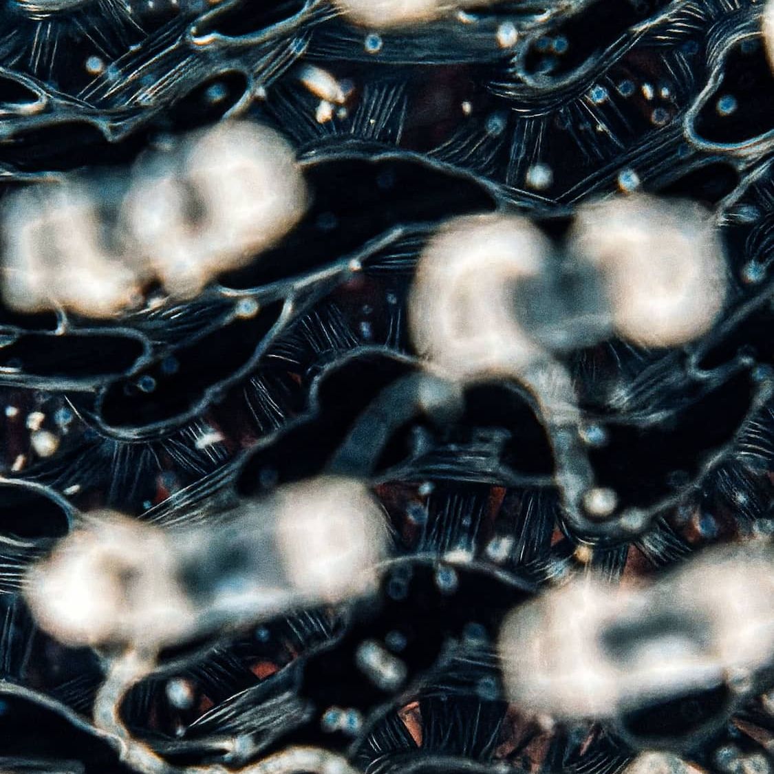 demcon-convergence-membrane-fouling