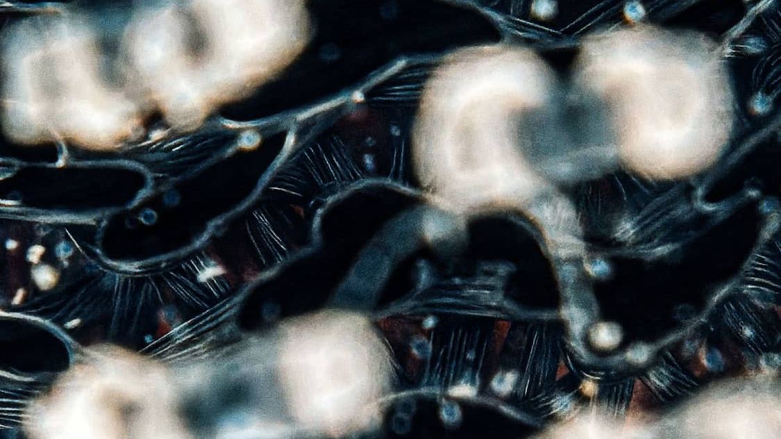 demcon-convergence-membrane-fouling