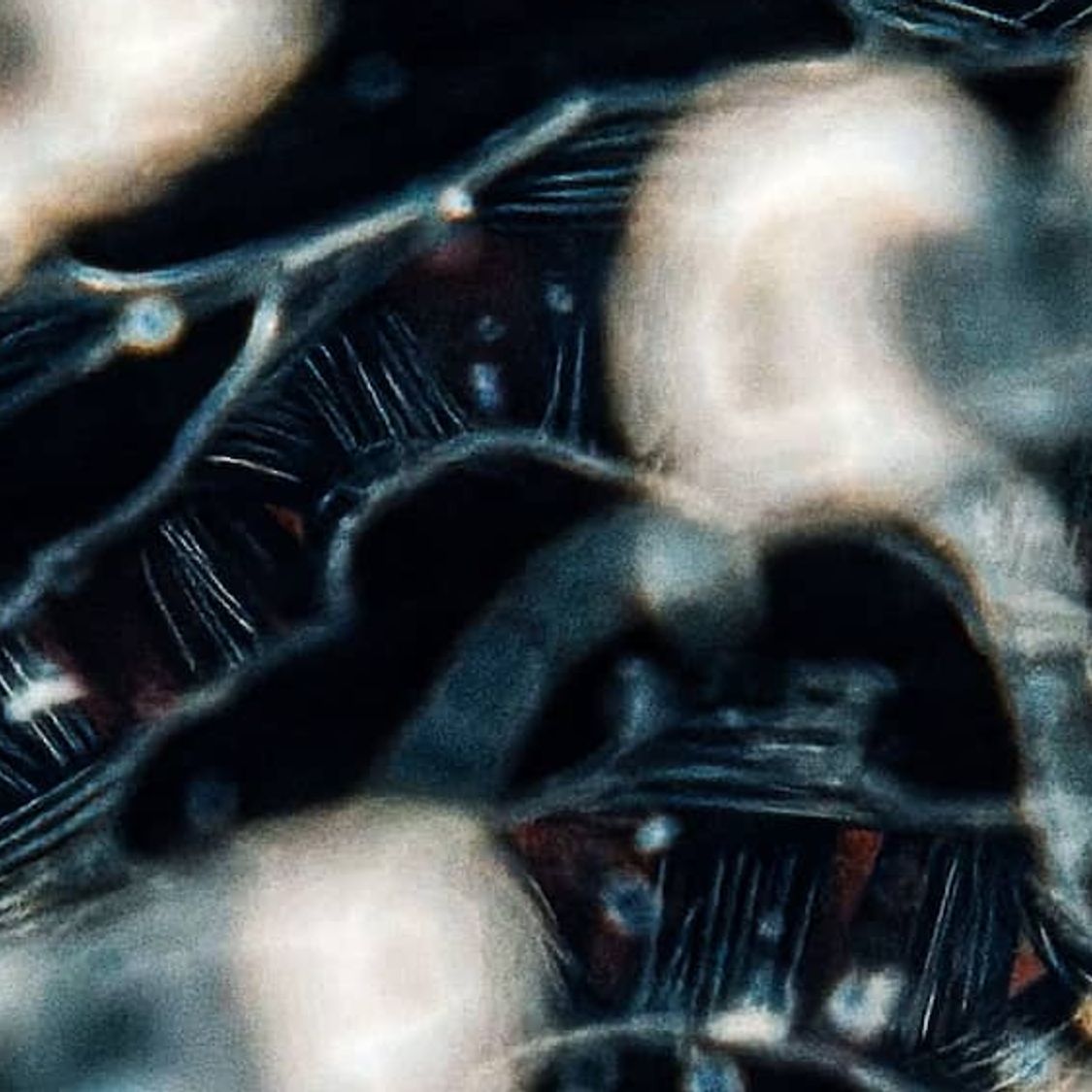 demcon-convergence-membrane-fouling