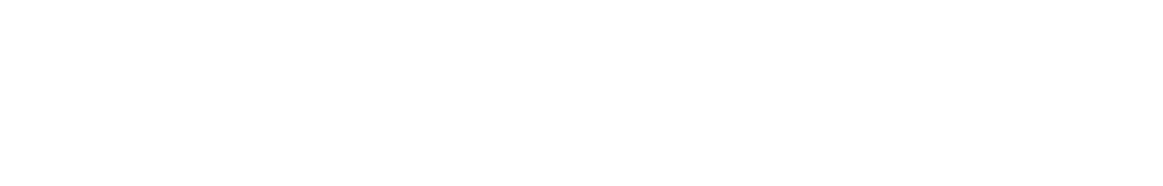Demcon logo white png